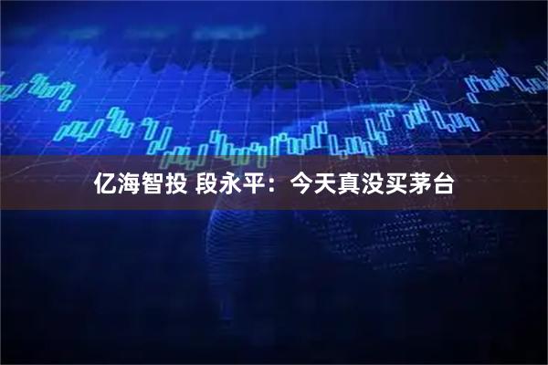 亿海智投 段永平：今天真没买茅台