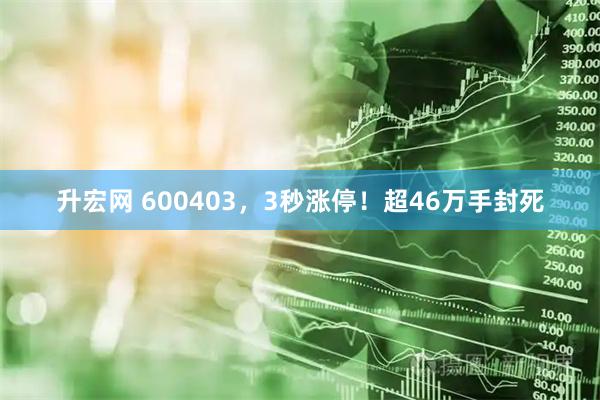 升宏网 600403，3秒涨停！超46万手封死