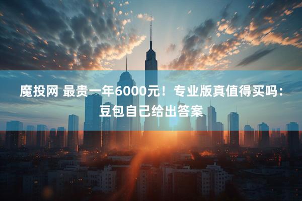 魔投网 最贵一年6000元！专业版真值得买吗：豆包自己给出答案